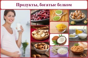 Белок продукты при беременности