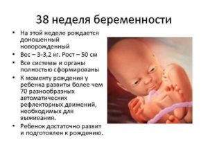 Вес и рост ребенка в 38 недель беременности