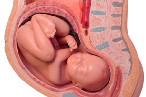 Тонус матки при беременности на 37 неделе беременности