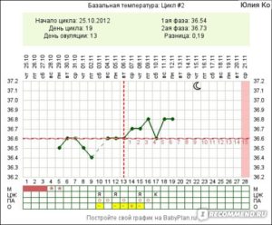 Овуляция при 30 дневном цикле на какой день