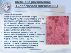 Klebsiella pneumoniae 10 в 5 степени в моче