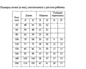 Размеры чашечек почек норма