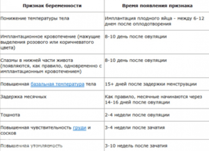 Первые признаки беременности температура