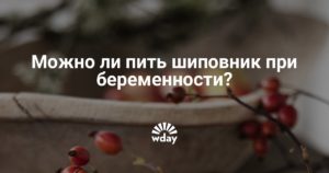 Можно ли пить чай с шиповником при беременности