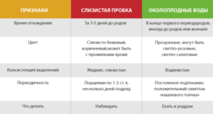 За сколько дней отходит пробка у повторнородящих