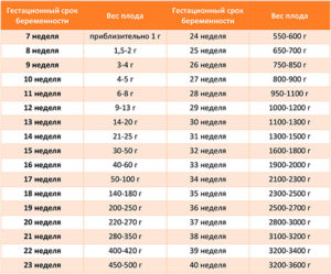 Вес ребенка в 20 недель беременности норма таблица