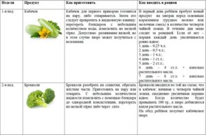 Со скольки месяцев можно давать ребенку овощное пюре