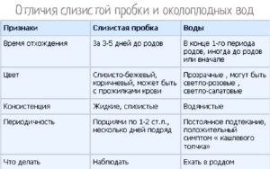 Если отошли воды сколько до родов времени