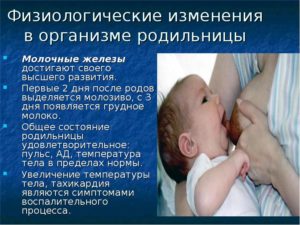 Застой молозива в железах третий день после родов