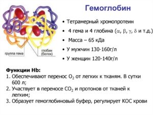 Высокий гемоглобин при беременности причины