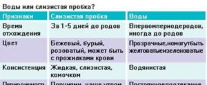 Через сколько времени начинаются схватки после отхождения вод