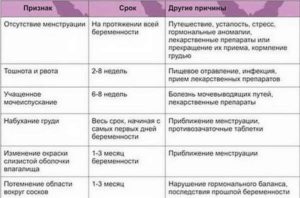 Можно ли забеременеть при отсутствии месячных 3 месяца