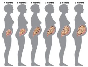 Со скольки недель беременности можно родить здорового ребенка