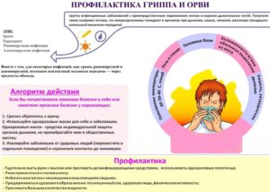 Профилактика гриппа и орви при беременности 2 триместр