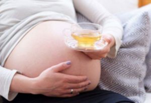 Можно ли ромашку при беременности на ранних сроках