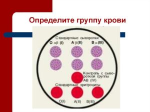 Как можно узнать свою группу крови