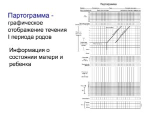 Партограмма в акушерстве образец