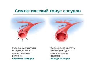 Тонус резистивных сосудов резко повышен что это значит