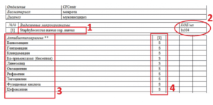 Антибиотикограмма расшифровка r s