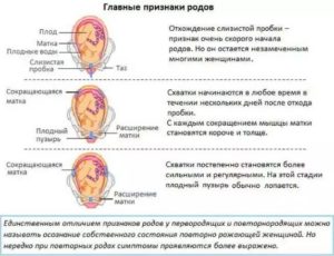 Тянет живот как при месячных 38 неделя беременности