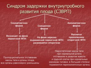 Задержка внутриутробного развития плода причины