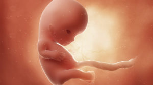8 9 недель беременности что происходит с малышом