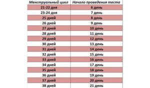 Овуляция при 30 дневном цикле на какой день