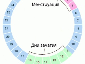 Какой день месячных считается первым днем