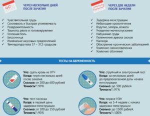 Можно ли прощупать беременность на ранних сроках самой