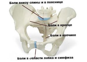 Лобковые кости болят при беременности