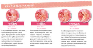 Со скольки недель можно почувствовать шевеление ребенка