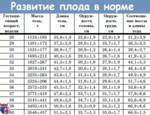 Вес плода на 32 33 неделе беременности норма