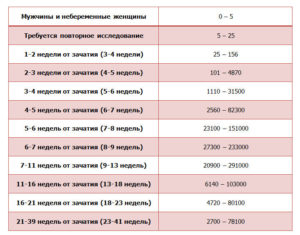 Хгч 5 недель акушерских