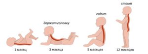 В каком возрасте ребенок держит головку