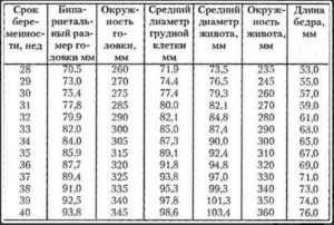 Окружность живота по неделям беременности норма у плода