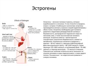 Как повысить уровень женских гормонов у женщин