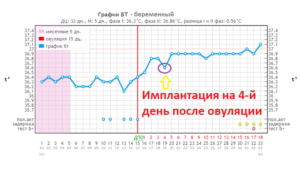 4 день после овуляции