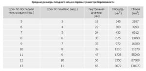 Размер плодного яйца 3 недели от зачатия