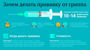 Поставили прививку от гриппа поднялась температура