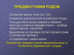 Предвестники родов на 36 неделе беременности у первородящих