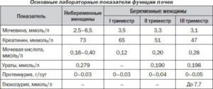 Как вывести белок из мочи при беременности