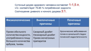 Соотношение дневного и ночного диуреза у здорового ребенка