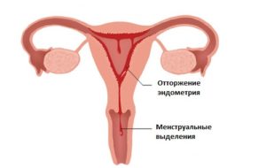 Менструация в 55 лет