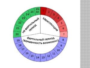 Когда большая вероятность забеременеть рассчитать