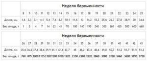 Вес плода на 32 33 неделе беременности норма