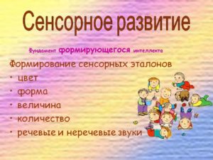 Сенсорное развитие что это такое