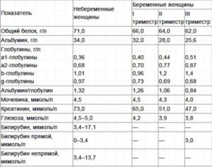 Билирубин норма у беременных