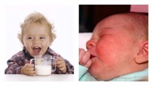 Как определить непереносимость молока у ребенка