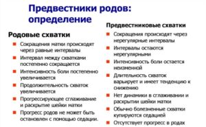 Ложные схватки за сколько до родов начинаются