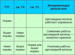 Норма ттг при климаксе